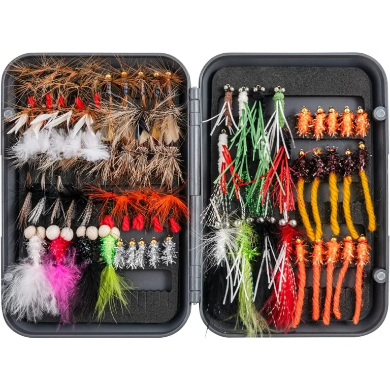 Best Fly Fishing Combo Guide for Every Angler in 2025