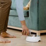 Badlands Ranch Dog Food – Healthy Meals Made Simple