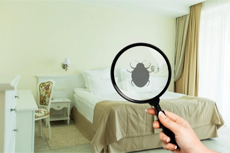 Affordable Bed Bug Exterminators with Limited-Prep Options